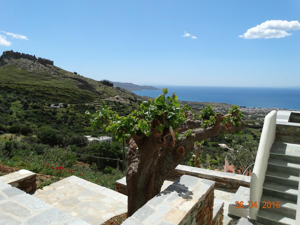 Balkonikarystos Apartment Luaran gambar